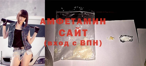 прущие грибы Верея