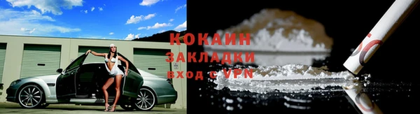 прущие грибы Верея
