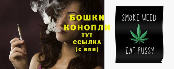 прущие грибы Верея