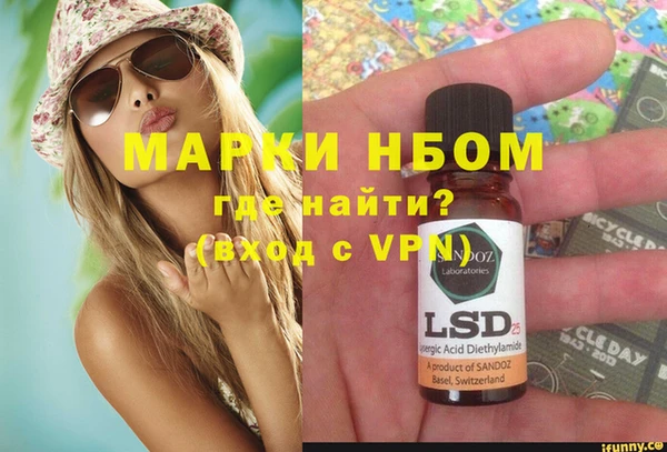 прущие грибы Верея