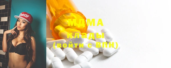 прущие грибы Верея