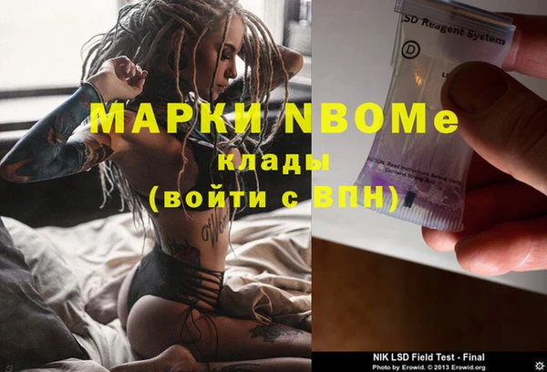 прущие грибы Верея