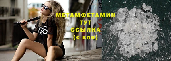 прущие грибы Верея