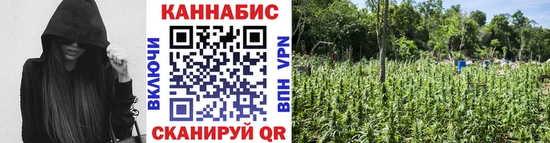Бошки марихуана THC 21%  кракен рабочий сайт  Мончегорск  сколько стоит 